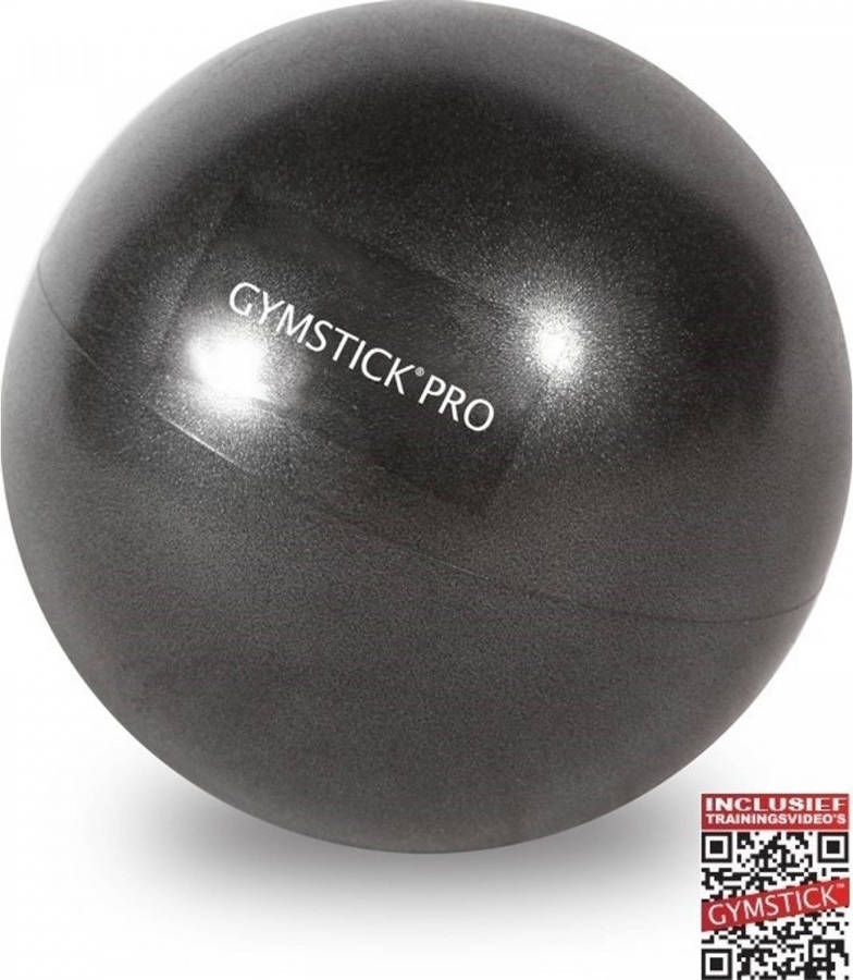 Gymstick Pro Core Ball 22 cm Met Online Trainingsvideo's