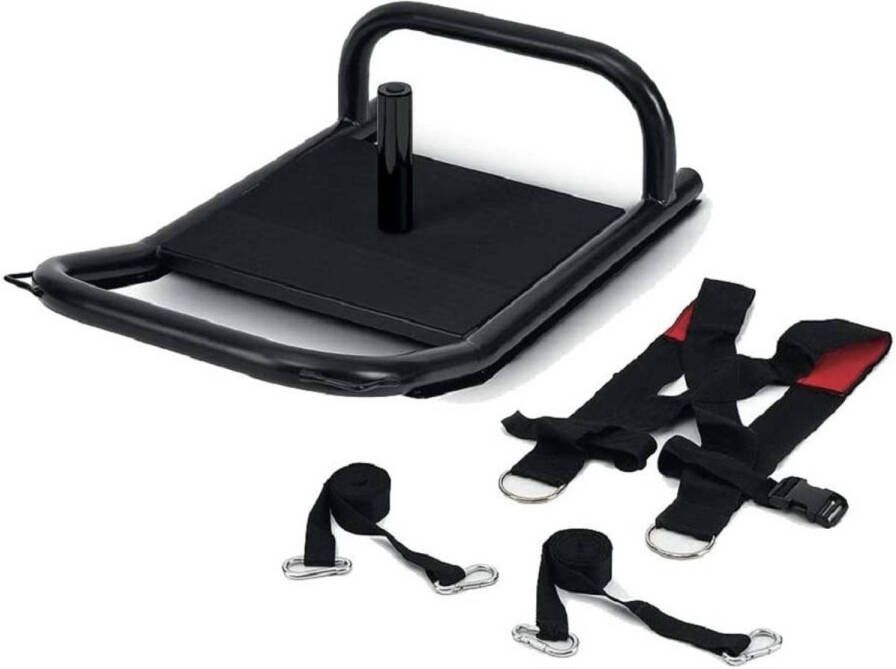 Toorx Agility Slede Powersled Inclusief Harnas + 2 Power Ropes