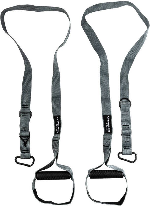 Wonder core Deur Gym Trainer