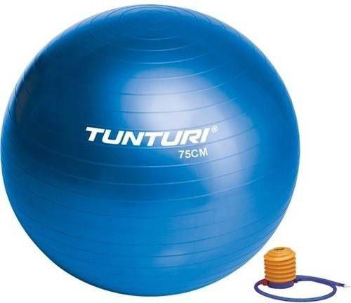 Tunturi Fitnessbal Gymbal Blauw 75 cm