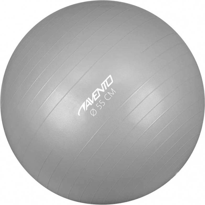 Avento Fitnessbal 55 cm zilverkleurig