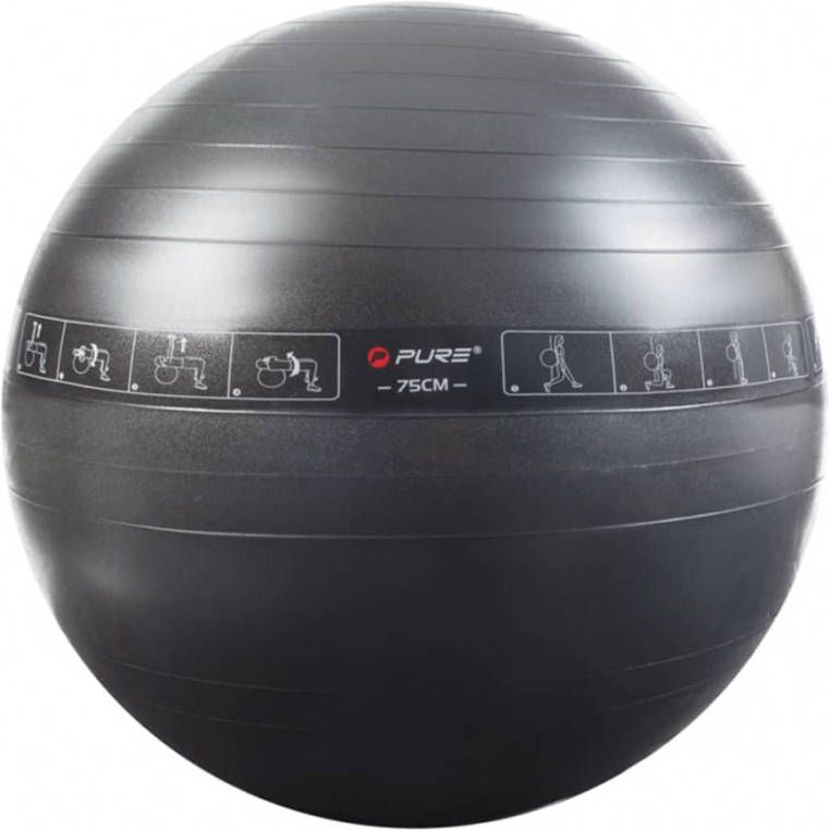 Pure2Improve Gymnastiek bal P2I200080