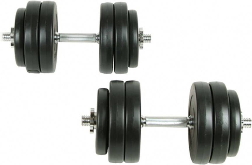 VIDAXL 18 delige Halterset 30 kg
