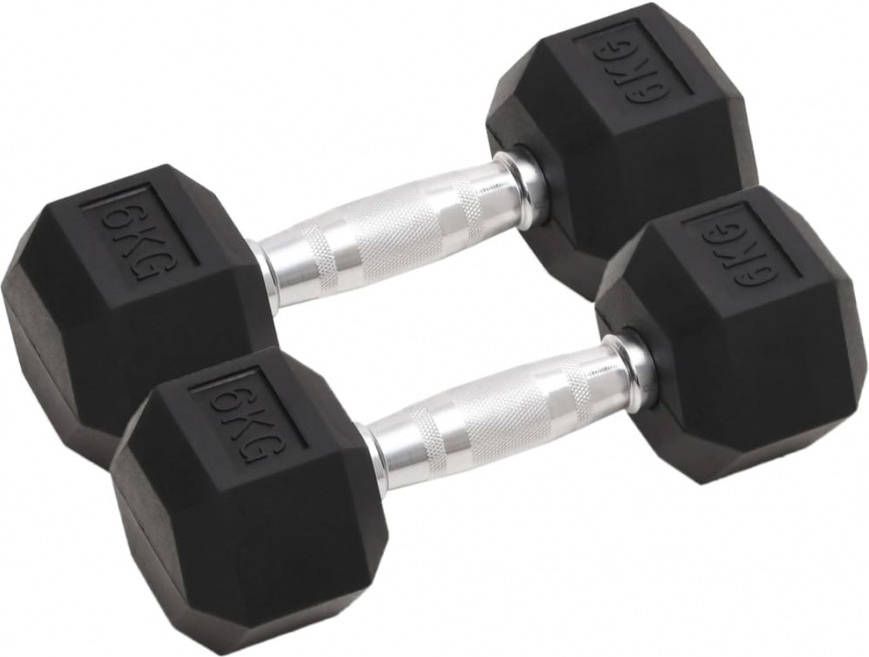 VIDAXL Halters 2 st 12 kg gietijzer