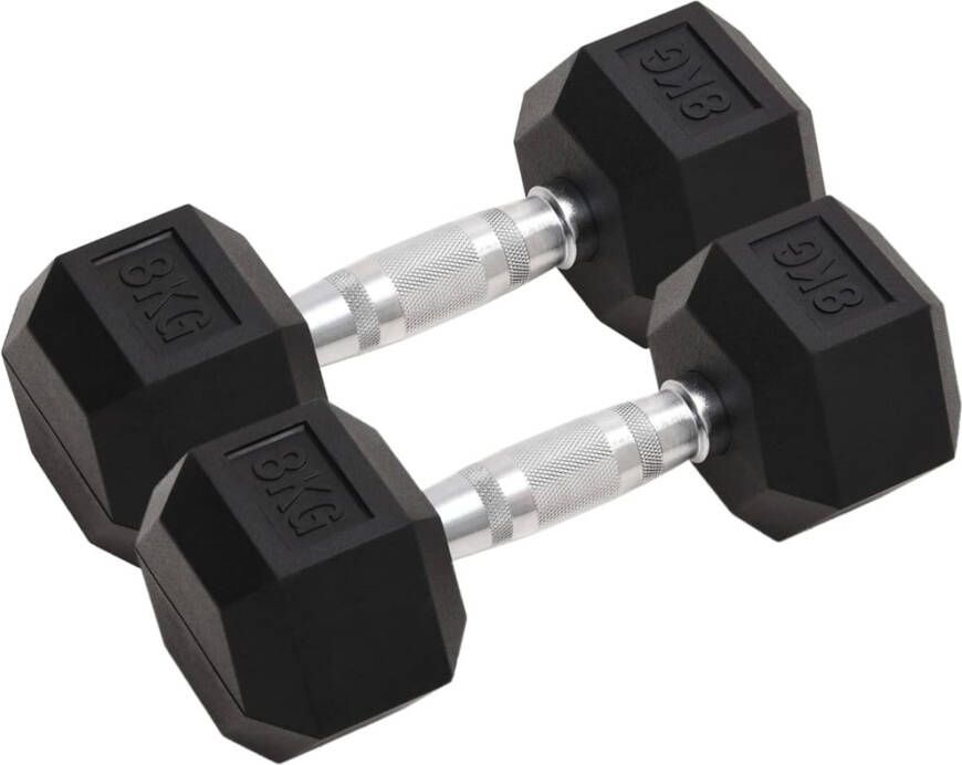 VIDAXL Halters 2 st 16 kg gietijzer