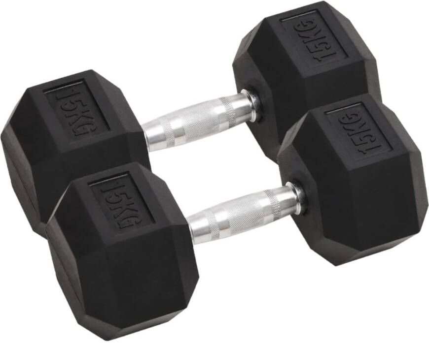 VIDAXL Halters 2 st 30 kg gietijzer