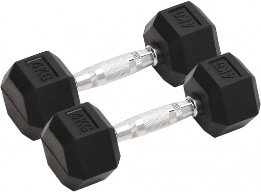 VIDAXL Halters 2 st 8 kg gietijzer