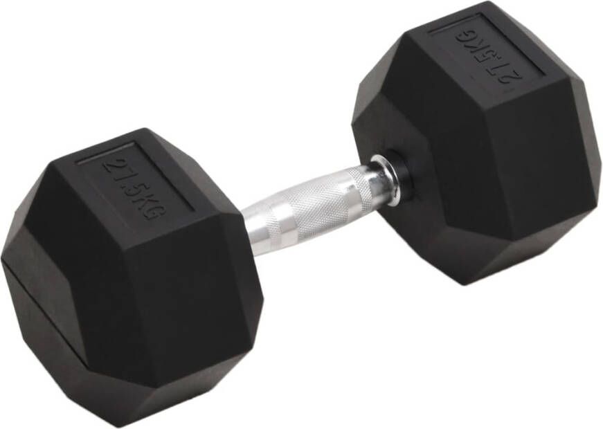 VIDAXL Halters 27, 5 kg gietijzer
