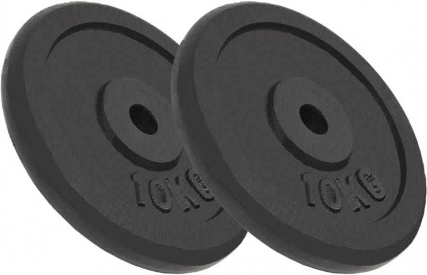 VIDAXL Halterschijven 2 st 2x10 kg gietijzer