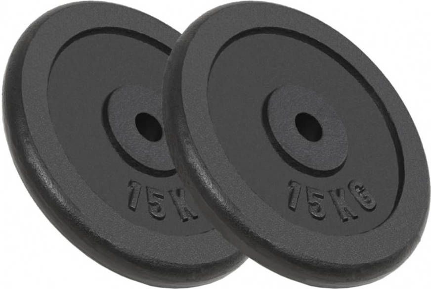 VIDAXL Halterschijven 2 st 2x15 kg gietijzer