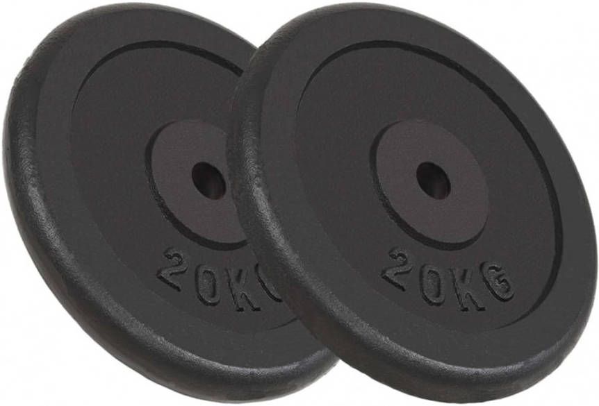 VIDAXL Halterschijven 2 st 2x20 kg gietijzer