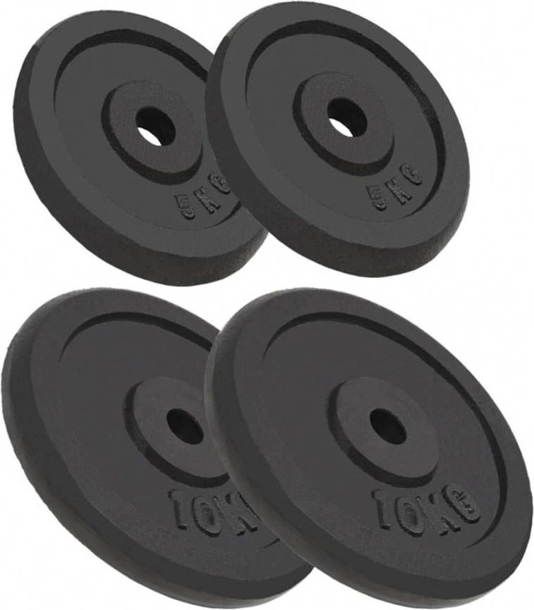VIDAXL Halterschijven 4 st 2x10 kg en 2x5 kg gietijzer