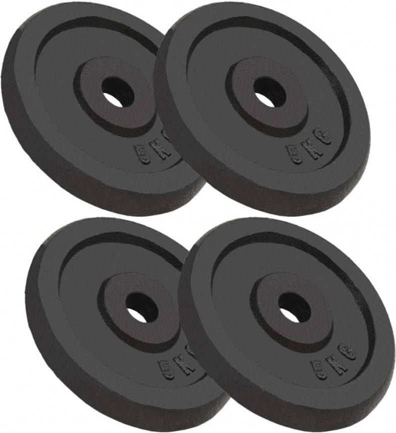 VIDAXL Halterschijven 4 st 4x5 kg gietijzer