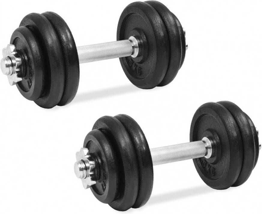 VIDAXL 18 delige Halterset 30 kg gietijzer