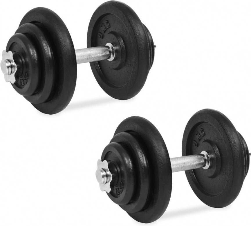 VIDAXL 18 delige Halterset 40 kg gietijzer