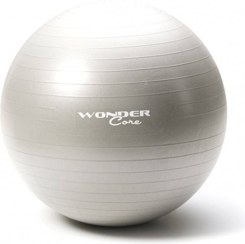 Wonder Core Fitnessbal anti barst 75 cm grijs