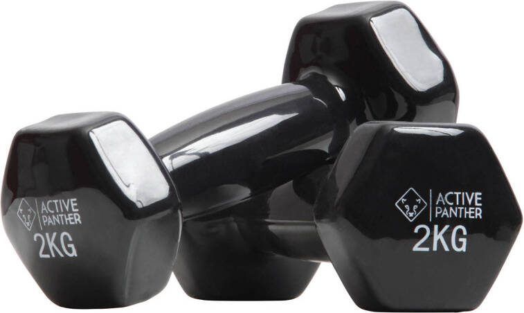 Active Panther dumbbell set 2x 2 kg zwart